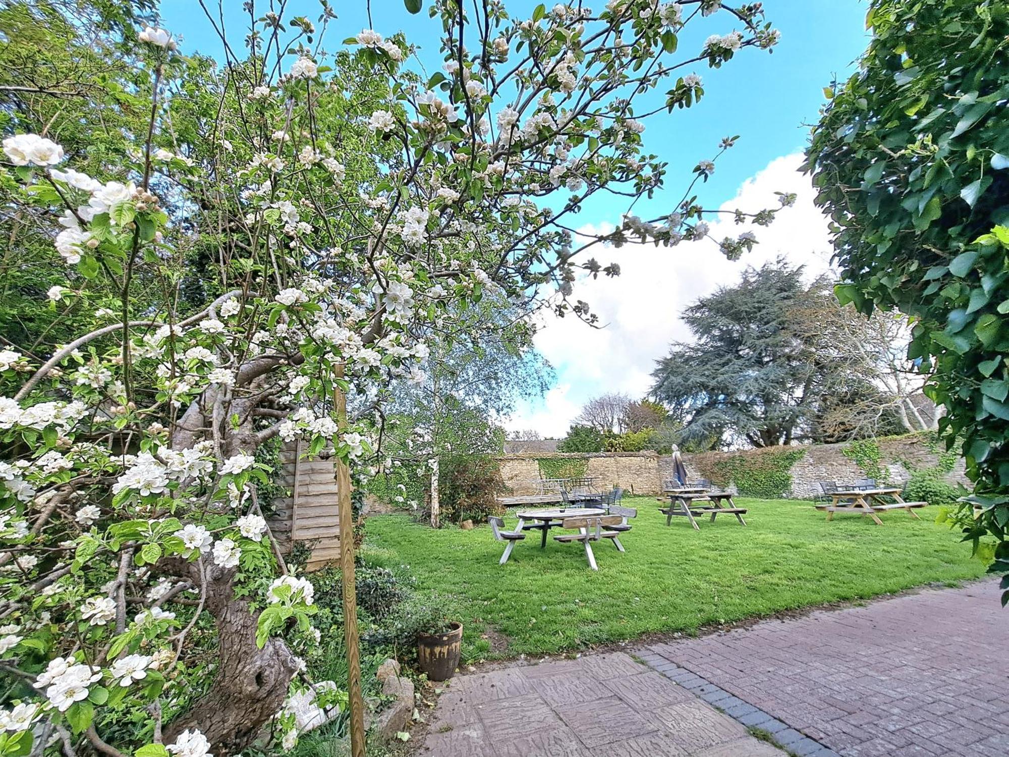 The White Hart Bed & Breakfast Eynsham Екстериор снимка